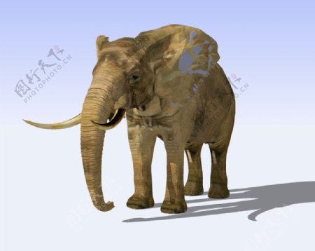 大象3D模型图片