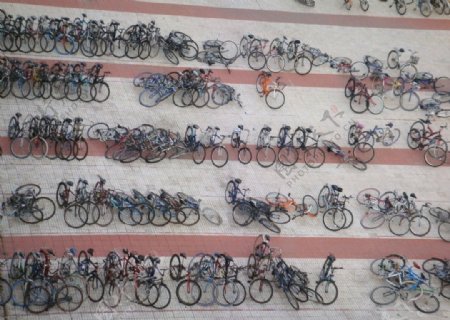 大学城的自行车阵图片