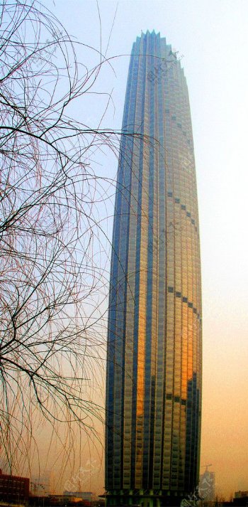 天津之最高楼图片