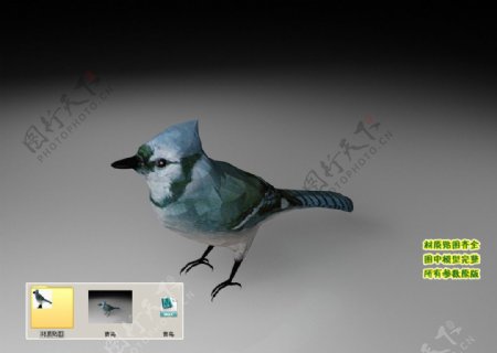 青鸟3D三维模型建模图片