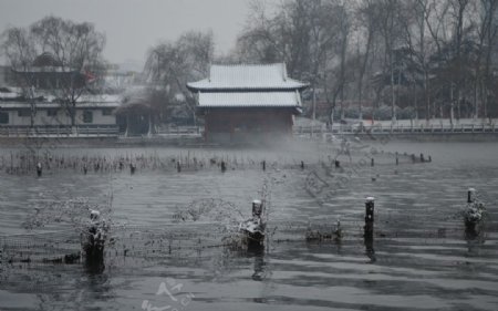 济南大明湖雪景图片