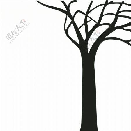 黑白树无框画图片
