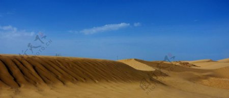 新疆塔里木沙漠图片