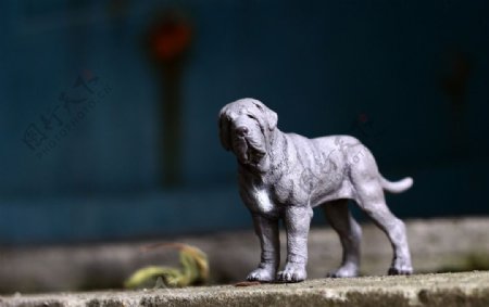 犬模型图片