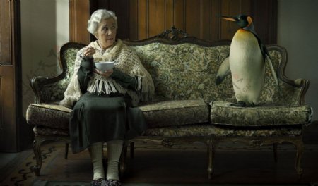 老太太和企鹅图片