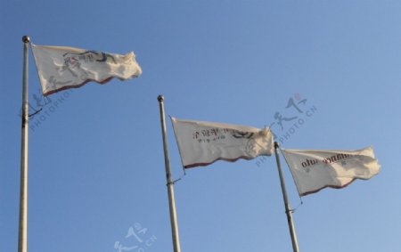 会展中心旗帜图片