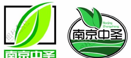 南京中圣logo图片