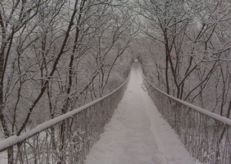 雪桥图片