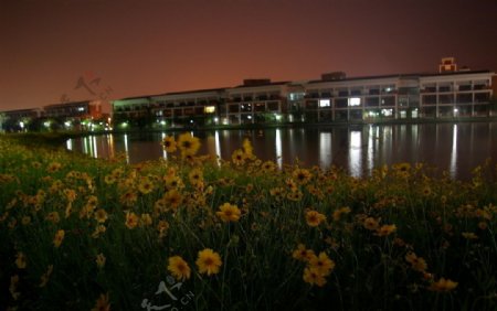 美丽湖边夜景图片