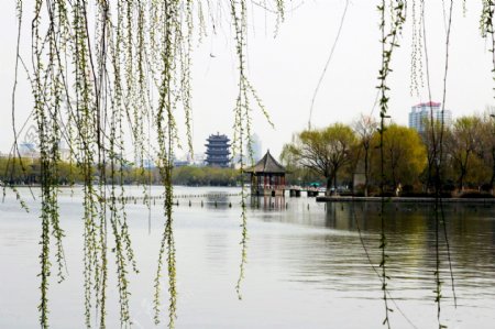 济南大明湖图片
