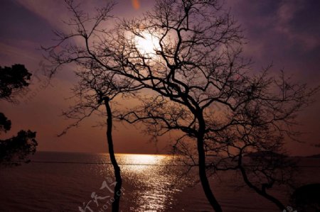 太湖月光图片