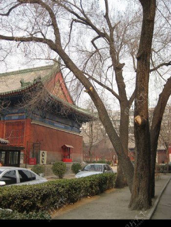 北京报国寺图片