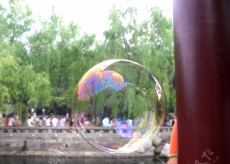 色彩斑斓的水泡图片