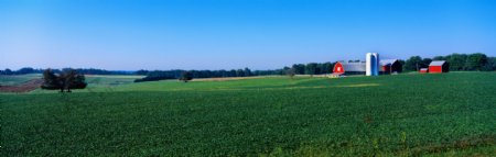 蓝天绿地农场风景图片