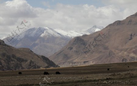 西藏摄影圣域采风雪山图片
