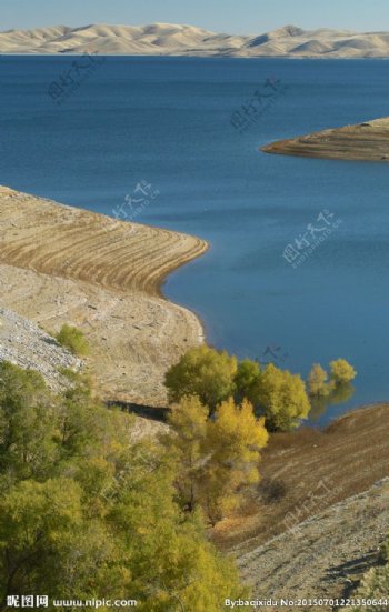 沙漠湖水图片