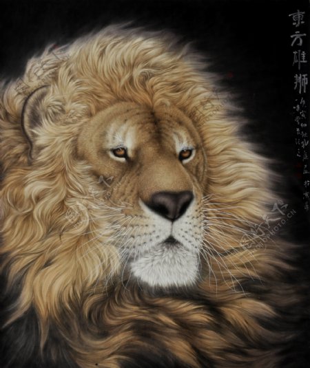 国画狮子图片