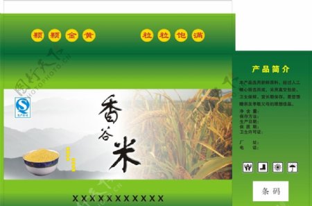 香谷米图片