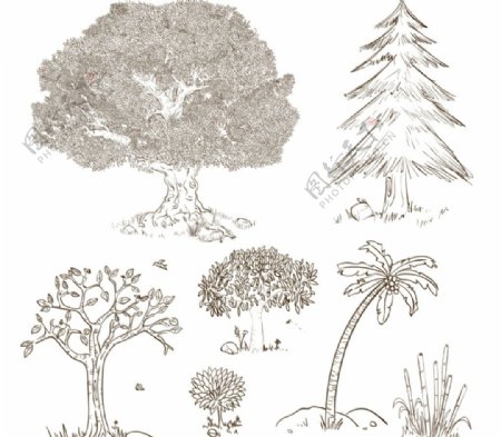 手绘树木设计图片