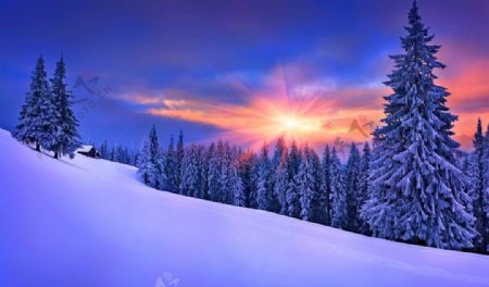冬季夕阳图片
