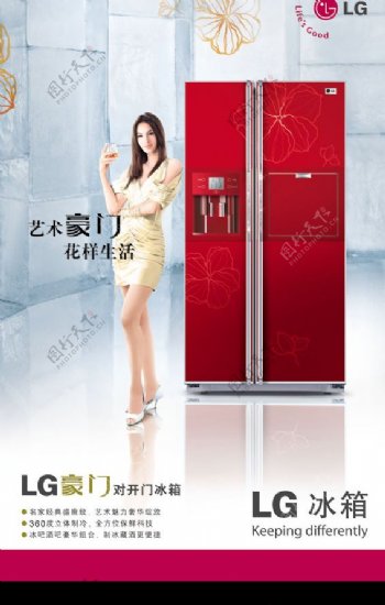 LG双门冰箱图片