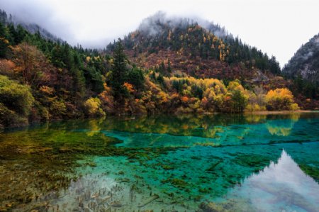 九寨沟五花海图片