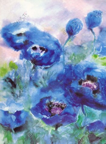 紫色花卉油画图片