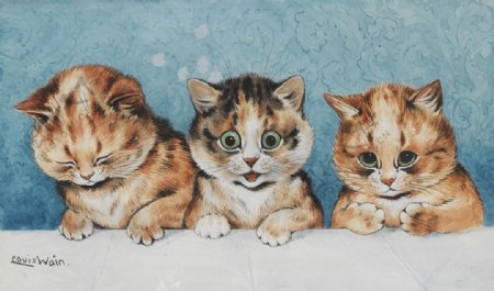 三只小猫儿图片
