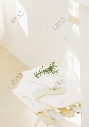 日本室内绿色草本图片