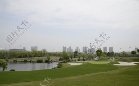 golf高尔夫球场图片