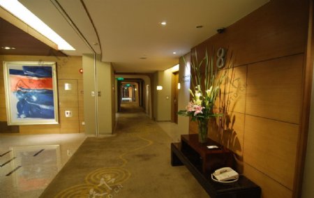 典雅的的酒店客房走廊图片