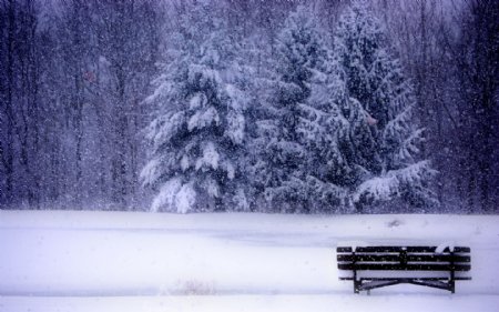 美丽雪景图图片