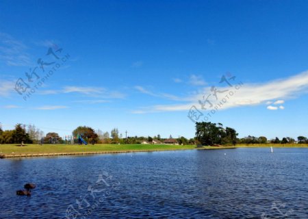 新西兰野鸭湖风光图片
