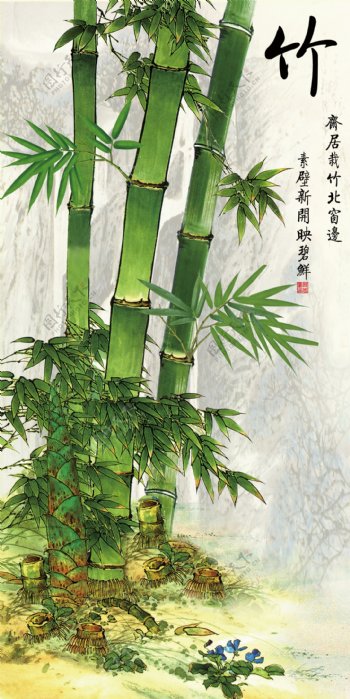 竹图片