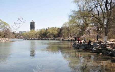 北京大学风景田园图片