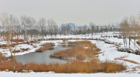 沂河冬雪图片
