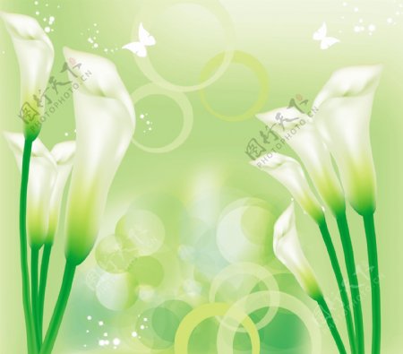 绿色矢量花卉图片