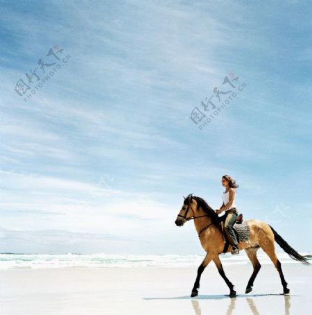 美女海边骑马图片