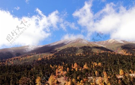 神奇的白马雪山图片