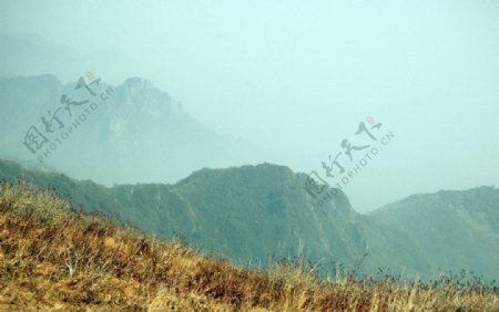 海坨山高山草甸图片