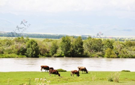 草原河流图片