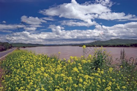 黄河风景图片