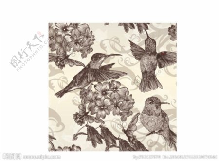 手工绘制的鸟复古风格图片