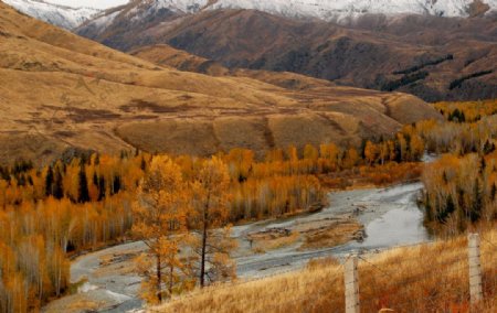 北疆秋景图片
