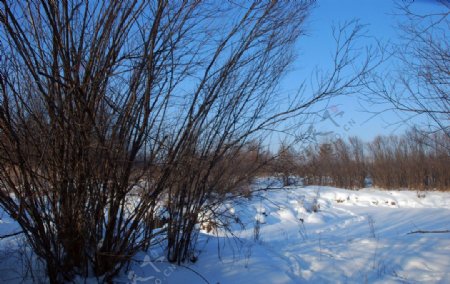 根河南河套冬天风景图片