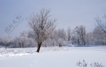 根河两公里半冬景图片
