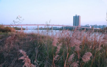 河堤公园图片