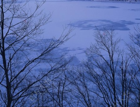 大雪迷幻图片