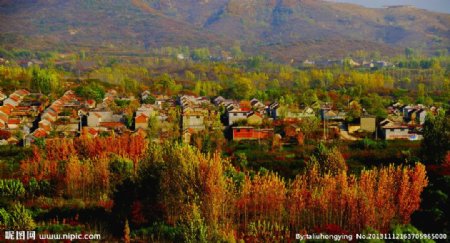 秋日的村庄图片
