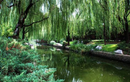 北京菖蒲河公园图片